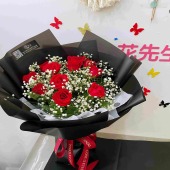 11支红玫瑰白色满天星花束