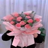 11支粉色康乃馨尤加利叶花束