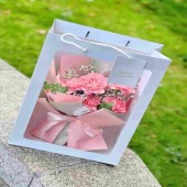 5支粉康白星花束带橱窗袋