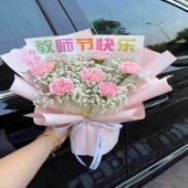 5支粉色康乃馨白星花束