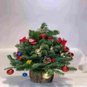 【圣诞节】1颗圣诞树装饰平安夜圣诞节送朋友送爱人送女友花店送花上门
