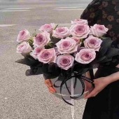 19支蔓塔乌梅子酱抱抱桶