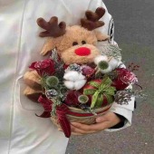 1颗平安果搭配4朵红玫瑰麋鹿抱抱桶