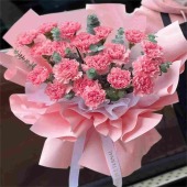 19朵粉色康乃馨鲜花花束送妈妈送母亲花店送花上门