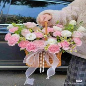 15支粉康5支粉雪山桔梗提篮