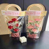 5支康乃馨满天星教师节快乐手提袋