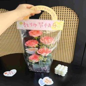 5支爱莎玫瑰洋甘菊教师节快乐手提袋