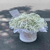 【星光灿灿】白色满天星抱抱桶