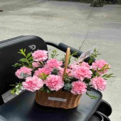 【感恩】19支粉色康乃馨手提花篮送妈妈/送母亲/鲜花店送花上门