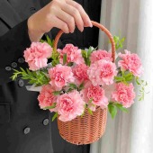 【春风暖阳】11支粉色康乃馨配叶母亲节送母亲送妈妈送朋友花店送花上门
