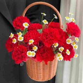 【旭日暖阳】11支红色康乃馨洋甘菊母亲节送妈妈送女友花店送花上门