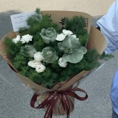 【放轻松】3支骄傲1支蝴蝶兰蓬莱松混搭花束鲜花店送花上门