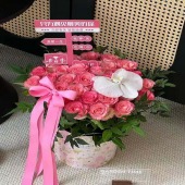 【讨你欢心】33支粉玫瑰艾莎抱抱桶鲜花花束送女友送媳妇鲜花店送花上门